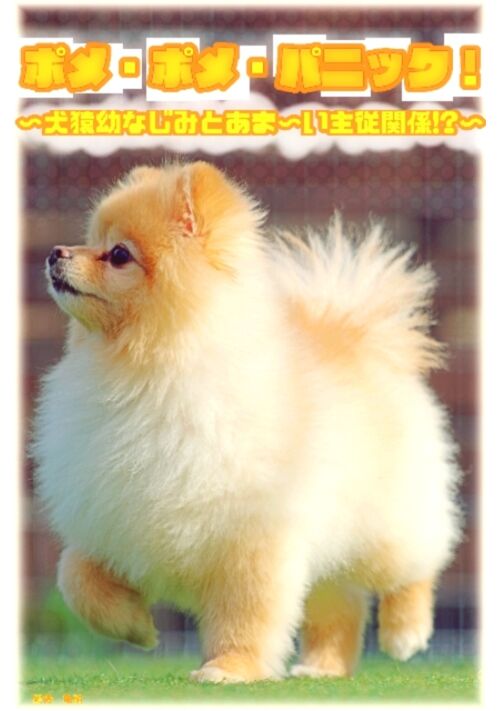 ポメ・ポメ・パニック！〜犬猿幼なじみとあま〜い主従関係!?〜