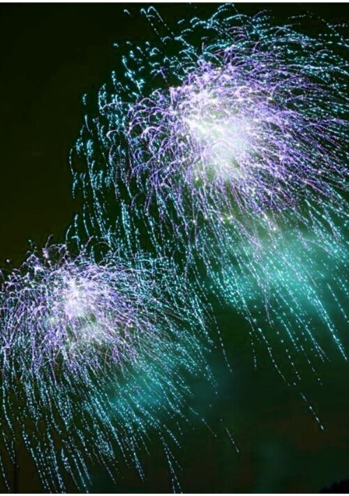 夜空の大輪の如く咲け