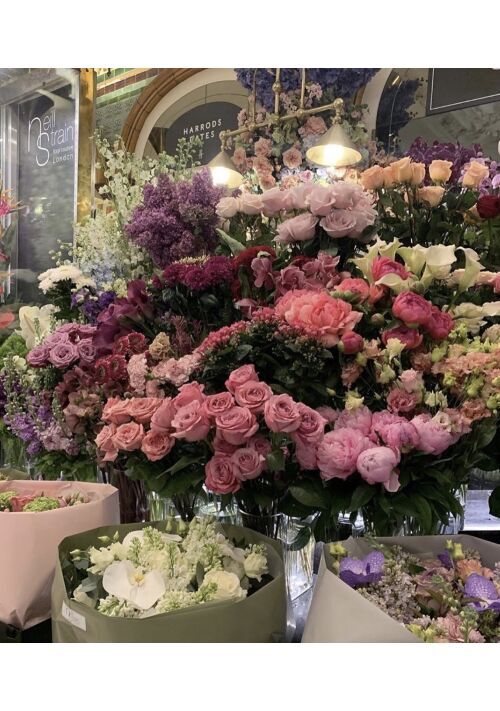 Hanaのwebコンテンツ アルファポリス 電網浮遊都市