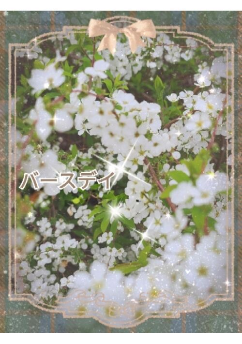 『バースデイ』（さくら乃） 表紙
