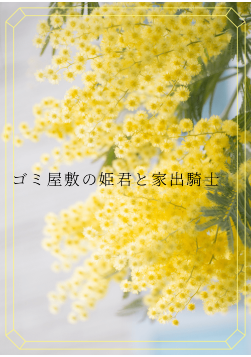 ゴミ屋敷の姫君と家出騎士