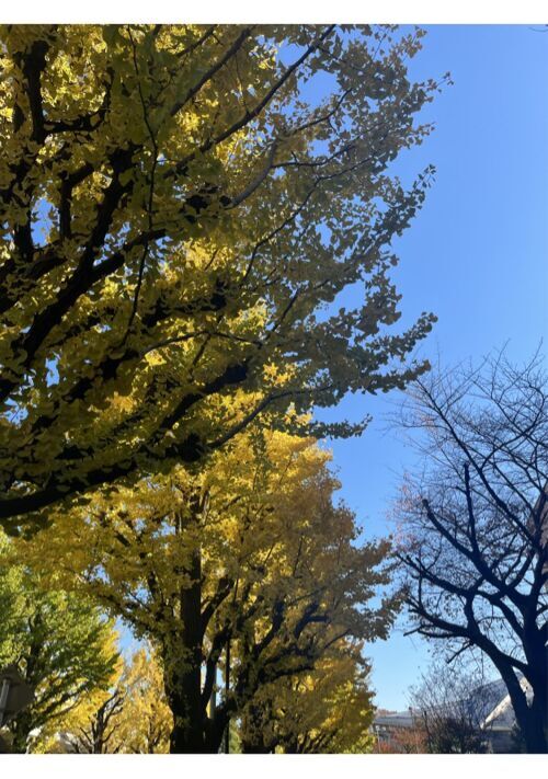 月曜日の地縛霊