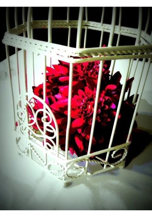 『悪役令嬢転生ババアは、霊能力で断罪劇を回避する〜霊の力で悪意にはしっかり対抗します〜』（くぴぽちゃん） 表紙