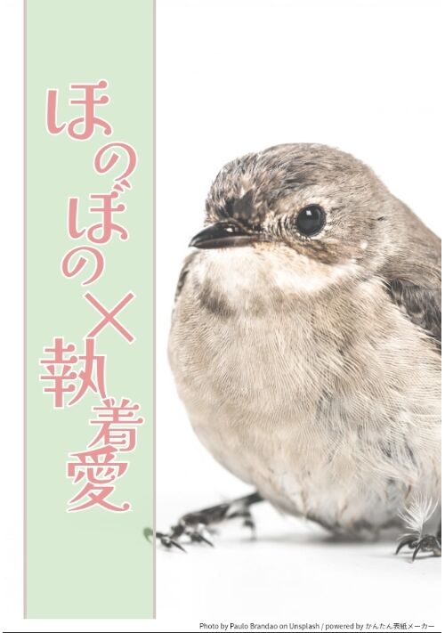孵化から始まる転生もふもふヒナ日記〜弟が◯◯でも、兄ちゃんは気づかない〜