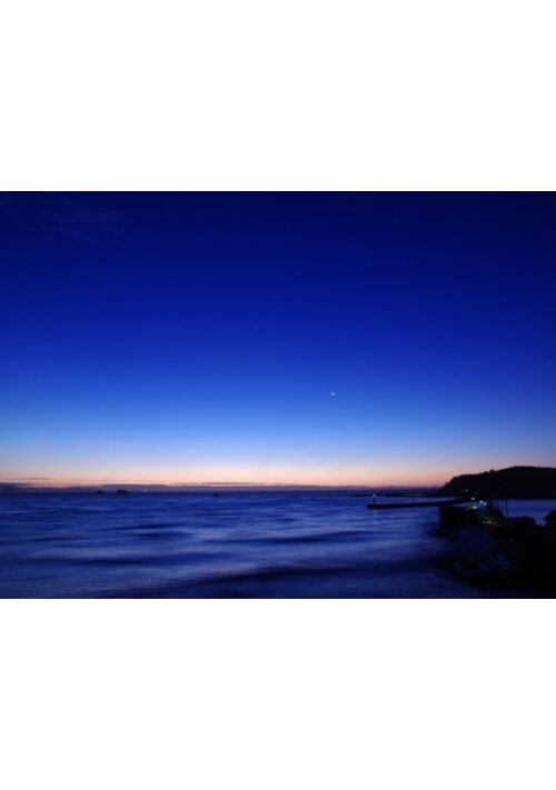 Hanaのwebコンテンツ アルファポリス 電網浮遊都市