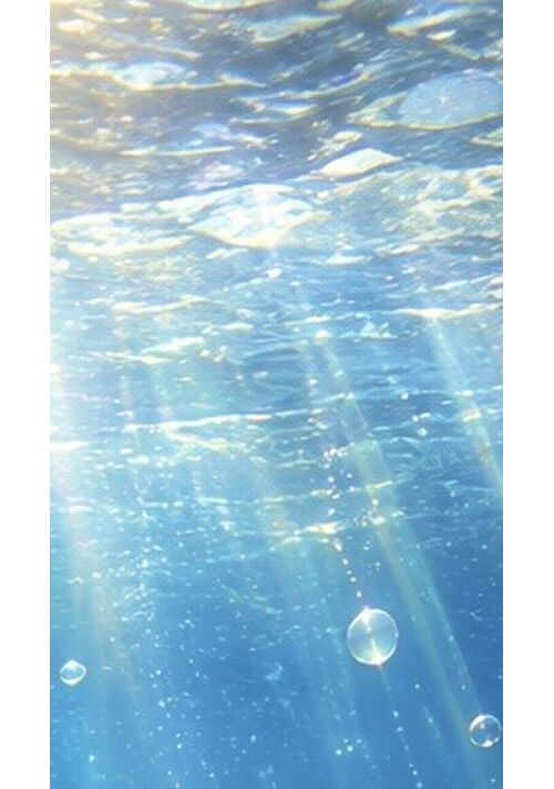 感情のかくれんぼ 続編の続編