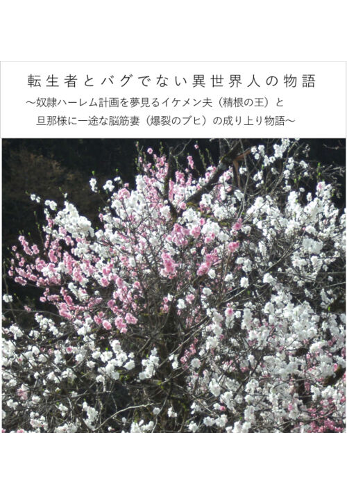 転生者とバグでない異世界人の物語～奴隷ハーレム計画を夢見るイケメン夫（精根の王）と 旦那様に一途な脳筋妻（爆裂のブヒ）の成り上り物語～