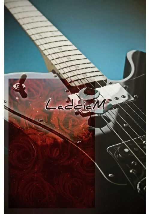 LaddiaM（ラディアム）～カリスマオメガにはいろいろある～