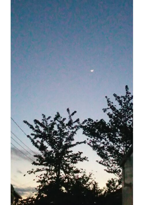 月の短歌