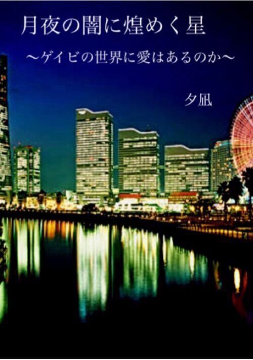 月夜の闇に煌めく星〜ゲイビの世界に愛はあるのか〜