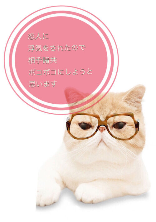 恋人に浮気をされたので 相手諸共ボコボコにしようと思います