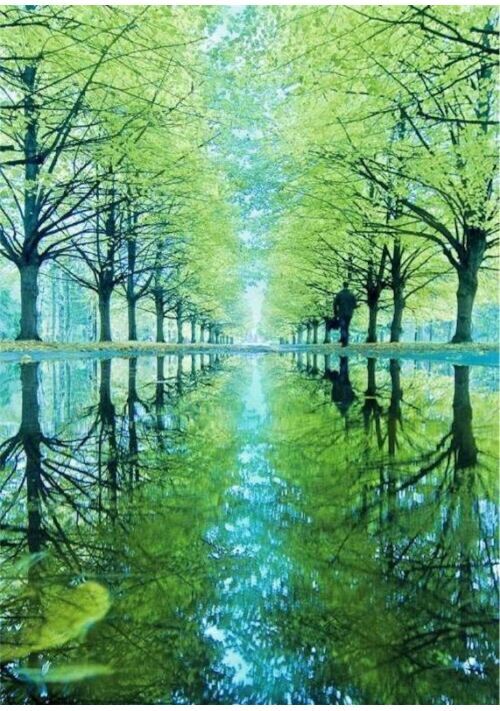 シナスタジアの幻想迷路