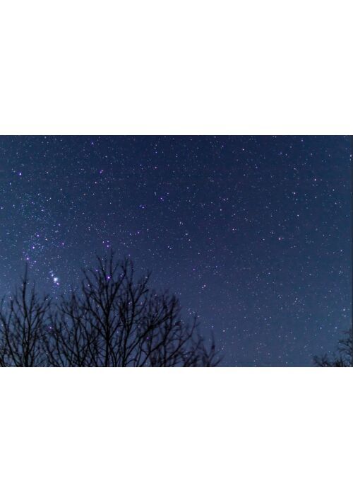 七星姫は後宮で輝く～凶星と疎まれた少女は皇帝陛下に溺愛される～