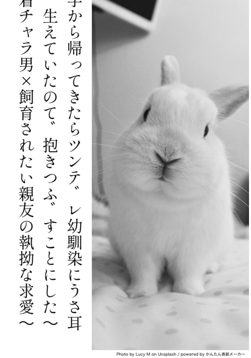留学から帰ってきたらツンデレ幼馴染にうさ耳が生えていたので抱きつぶすことにした〜執着チャラ男×飼育されたい親友の執拗な求愛〜
