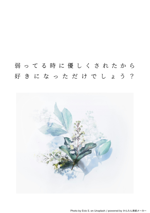 【完結・R18】弱ってる時に優しくされたから好きになっただけでしょう？