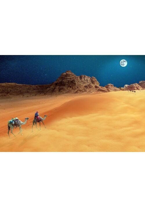 砂漠小説一覧 無料の小説投稿サイトのアルファポリス