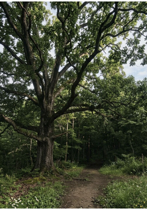 『深啞の森、あるいは獣の名を』（三浦潤） 表紙