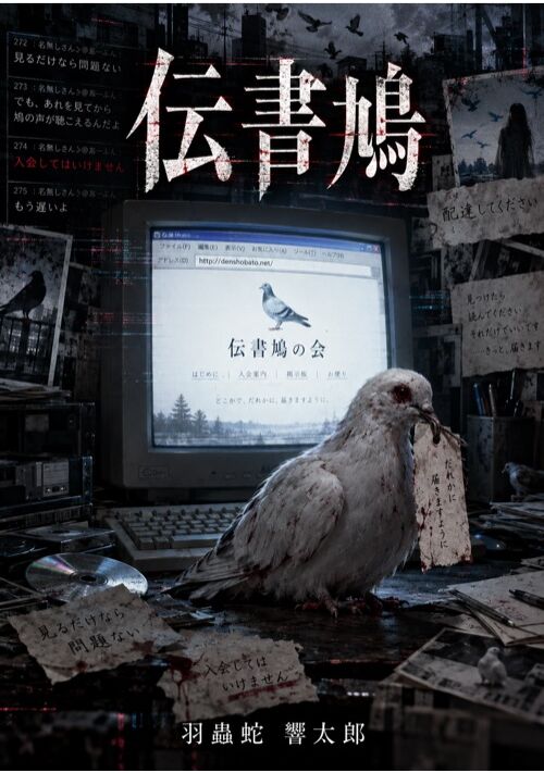 伝書鳩