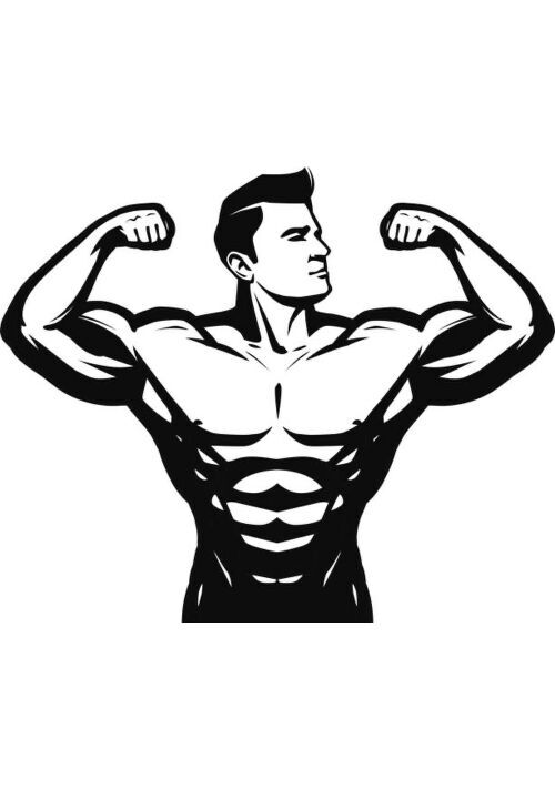 異世界チート 結局は筋肉こそが最強 ファンタジー小説 小説投稿サイトのアルファポリス