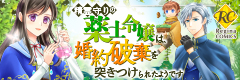 精霊守りの薬士令嬢は、婚約破棄を突きつけられたようです