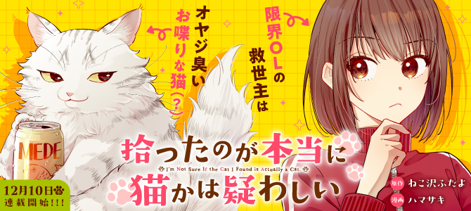 拾ったのが本当に猫かは疑わしい