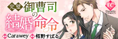 完璧御曹司の結婚命令