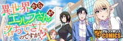 異世界からエルフさんが落ちてきたのですが!?