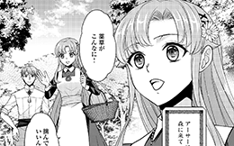 第13回