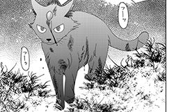 第10回