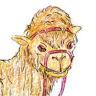 みずたにようこ