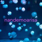 nandemoarisa