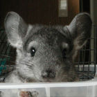 くしまちみなと