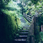 午前を告げる朝日