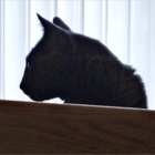 ここはだれ？
