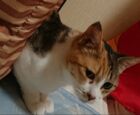 ゆっき〜