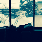 あーさー