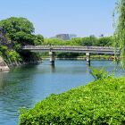 しぐれのりゅうじ