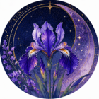 菖蒲月（あやめづき）