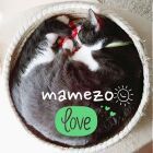 四百文寺　嘘築