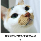 によっしゃー⊂('ω'⊂ )))Σ≡