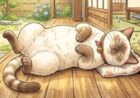 クウネコ