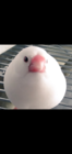悠理
