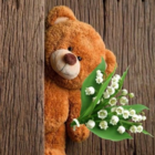 テディくまさん