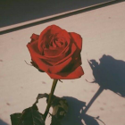 タルタルソース