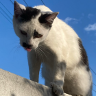 あの雲のように