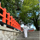 Arna lluna（雪月花）