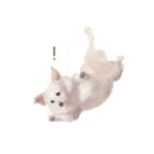 おもち
