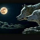 奈多鉈  千妃露（なたなた ちひろ）