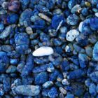 しほのゆき