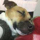 雷音@野生ガール